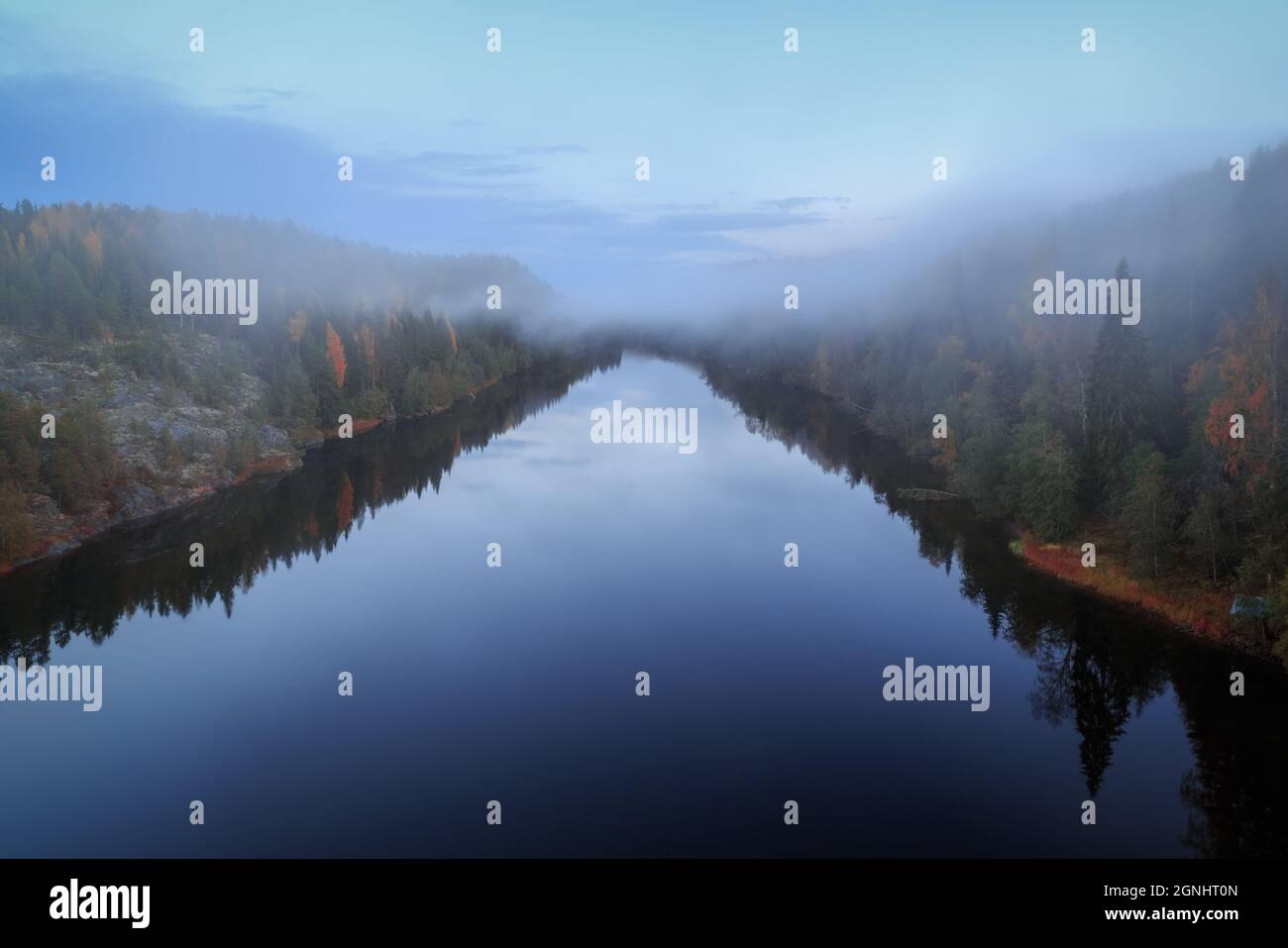 mist, autumn, river, forest landscape with reflections during blue hour Stock Photo