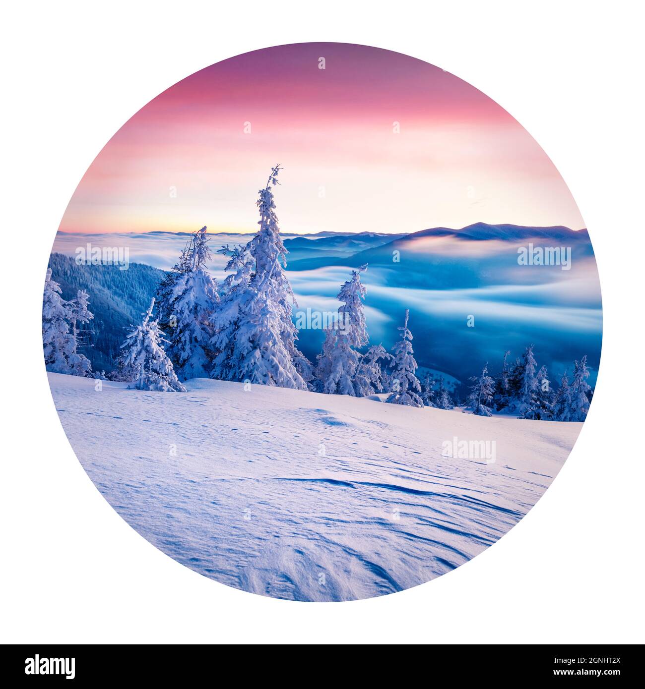 Round icon of nature with landscape. Incredible winter sunrise in Carpathian mountains with snow covered fir trees. Photography in a circle. Stock Photo