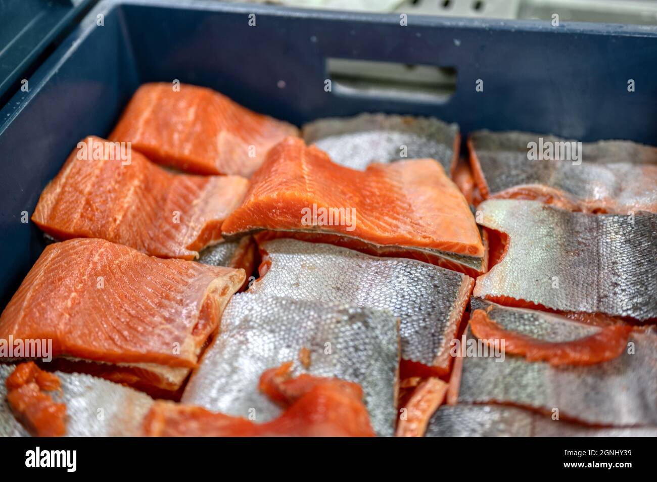 Many pieces of salmon and trout fillet, close-up photo. Stock Photo