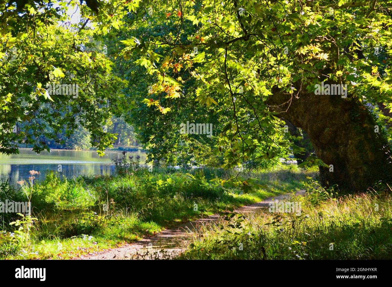 Parc of Ermenonville in the oise area in france Stock Photo