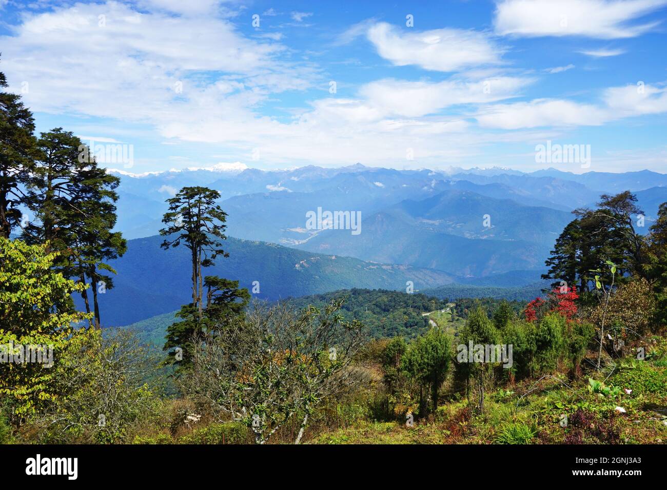 Panoramic view of the Himalaya Mountains from Bhutan’s Dochula Pass, on the road from Thimphu to Punakha. Elevation: 3,100 meters (10,200 feet). Stock Photo