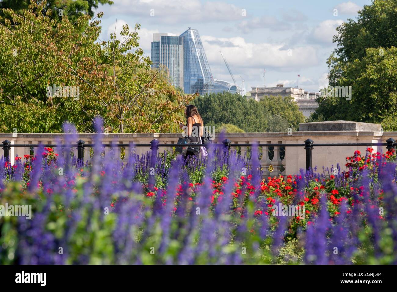 Colourful plants in the flower beds of Buckingham Palace Memorial Gardens, London, UK, with females walking past and high rise city financial district Stock Photo