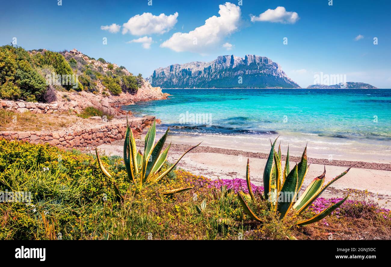 Marvelous summer view of Tavolara island from Spiaggia del dottore beach. Stunning morning scene of Sardinia island, Italy, Europe. Superb Mediterrane Stock Photo