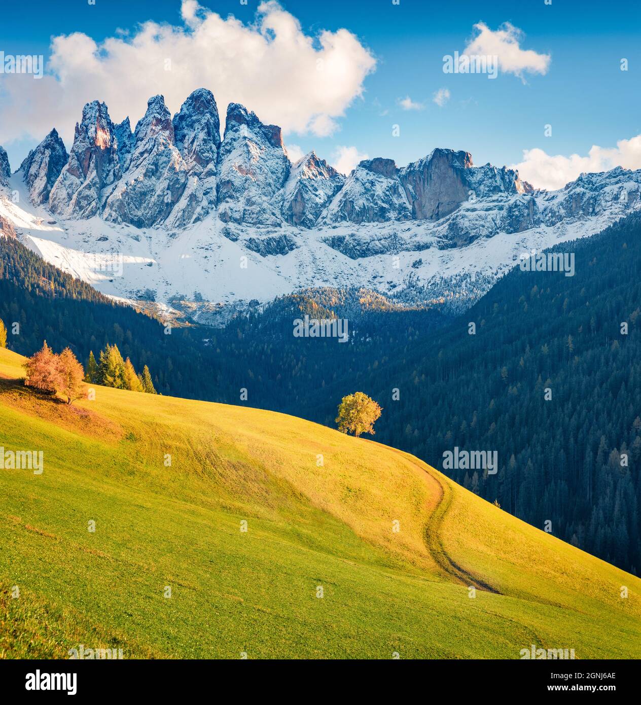Majestic morning view of Santa Maddalena village hills in front of the Geisler or Odle Dolomites Group. Magnificent autumn scene of Dolomite Alps, Ita Stock Photo
