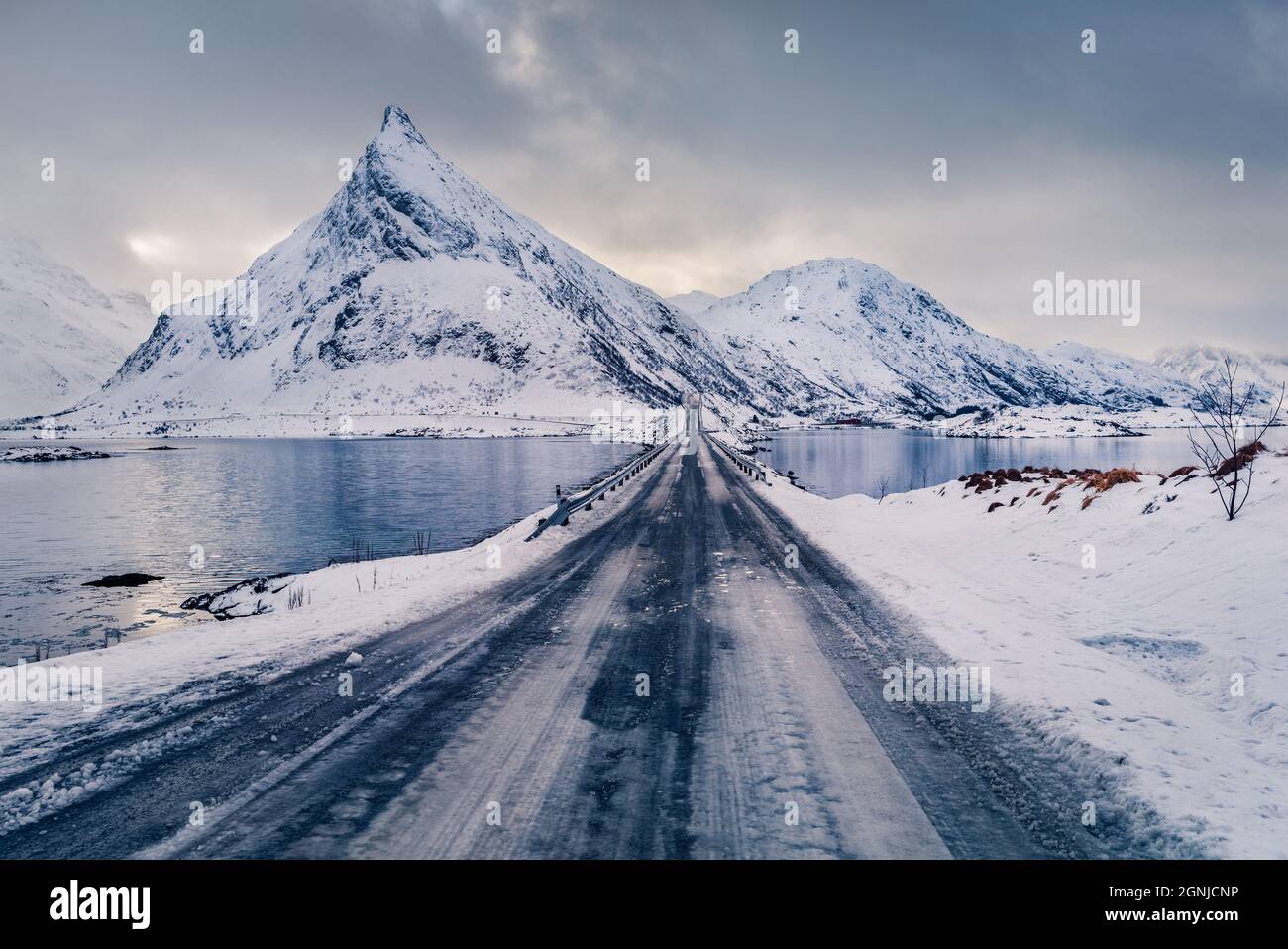 La polar hi-res stock photography and images - Alamy