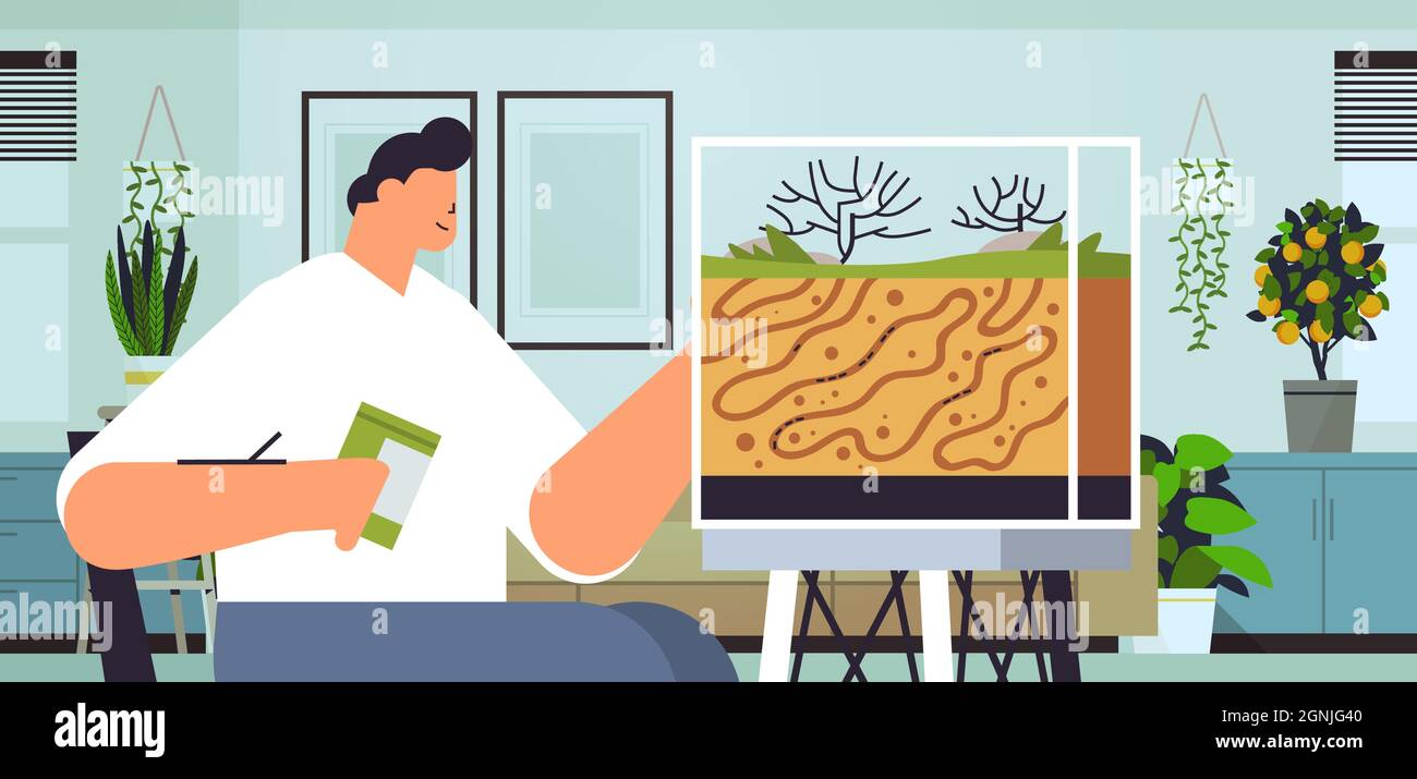 young man taking care of ant farm guy feeding ants in formicarium