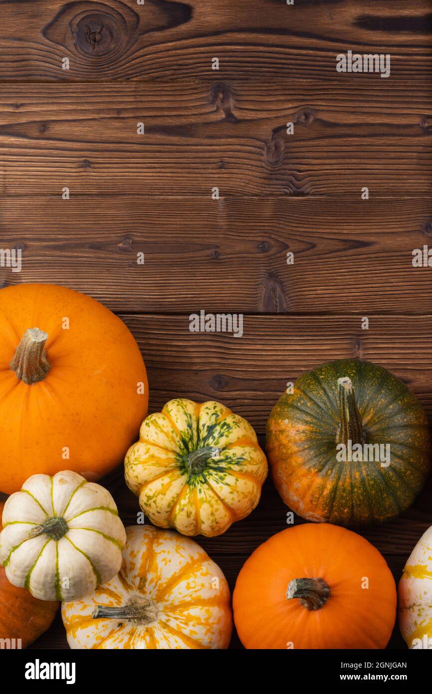 Many pumpkin top border over a rustic wood background Stock Photo - Alamy