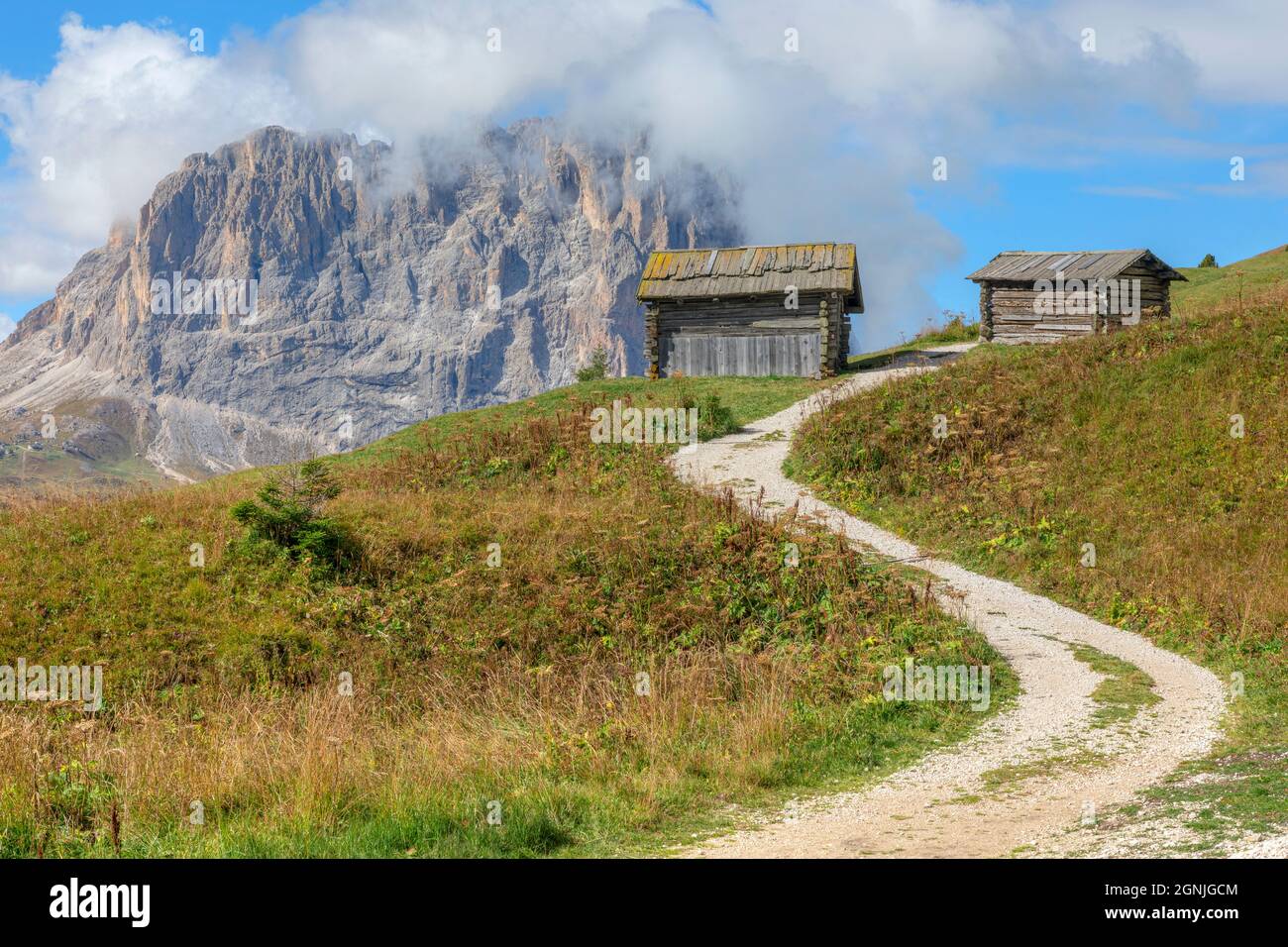 Passo Gardena, Alto Adige, Dolomites, South Tyrol, Italy Stock Photo