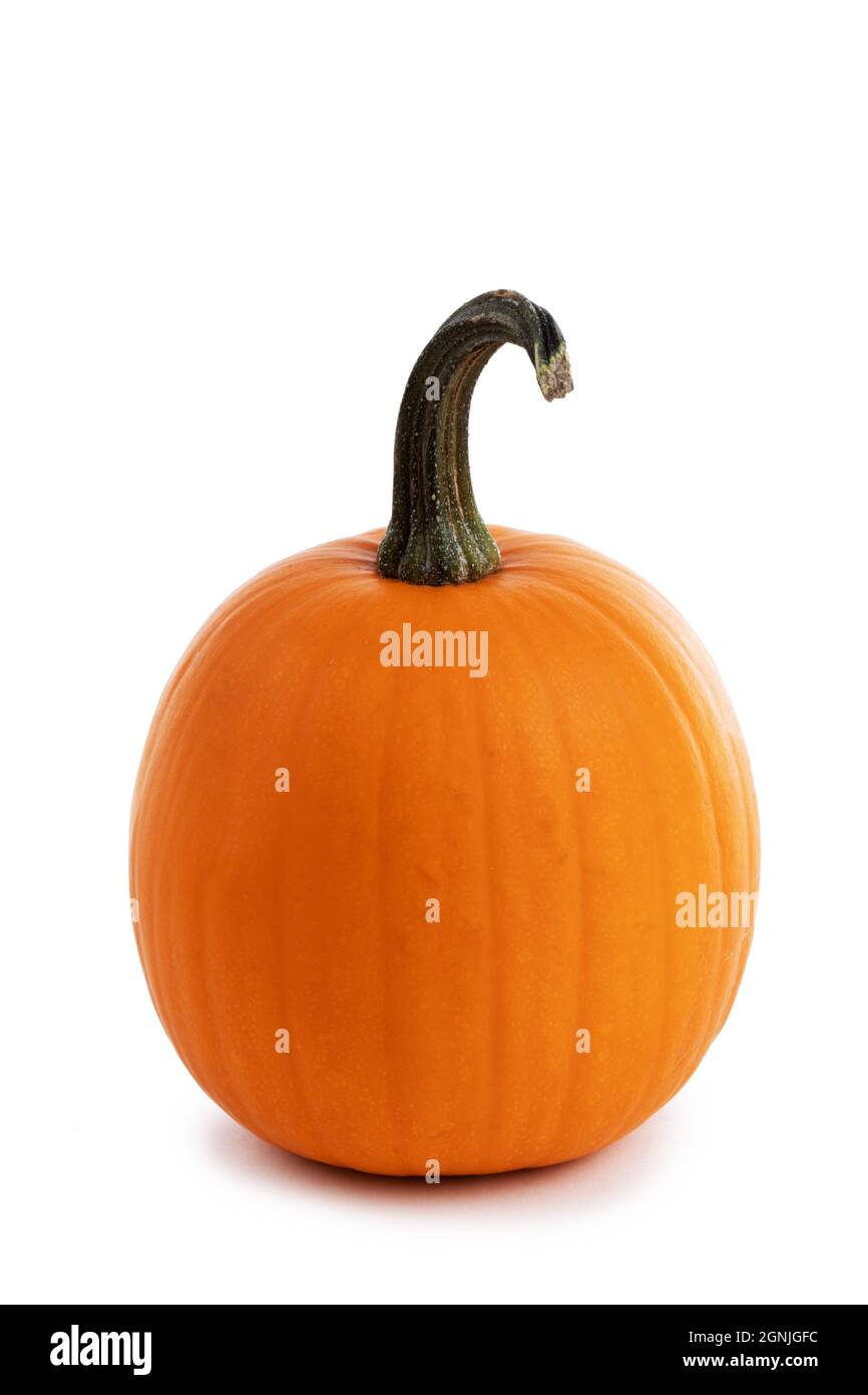 Fresh orange pumpkin isolated on white background Stock Photo - Alamy