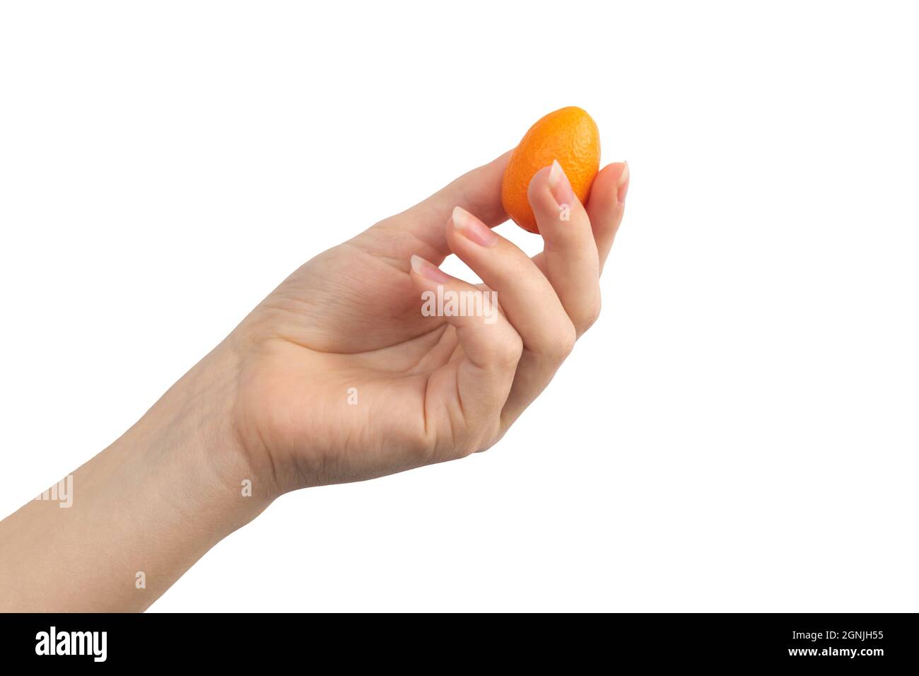 Kumquat in hand isolated on a white background Stock Photo