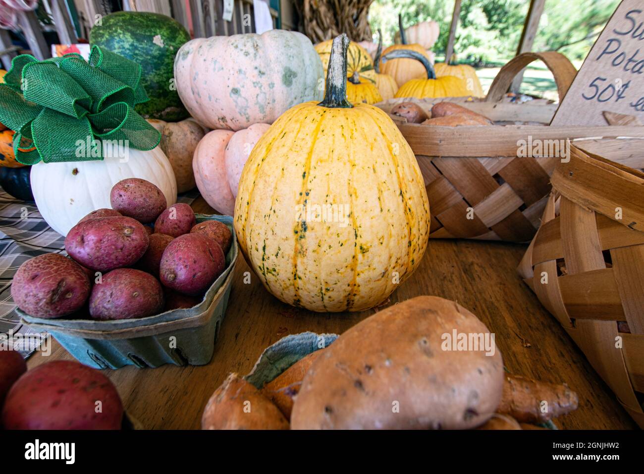 Display of assorted pumpkins and potatoes at a roadside farmer's market ...