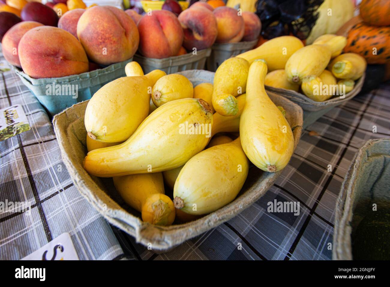 are crook neck squash safe for dogs