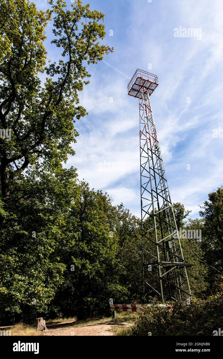 signal mast, transmission mast on Telegraphen hill in the Wahner Heath, it serves the air traffic control of Cologne-Bonn Airport, Troisdorf, North Rh Stock Photo