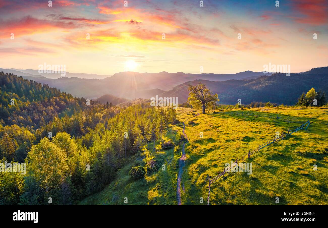 View from flying drone. First sunlight glowing mountain valley at June. Astonishing summer scene of Carpathian mountains, Dzembronya village location, Stock Photo