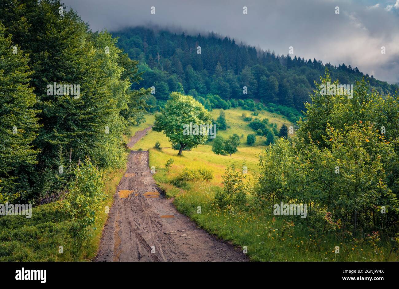 Landscape photography. Dramatic summer scene of mountain valley with old country road.Green summer view of outskirts of Kvasy village, Carpathians, Uk Stock Photo