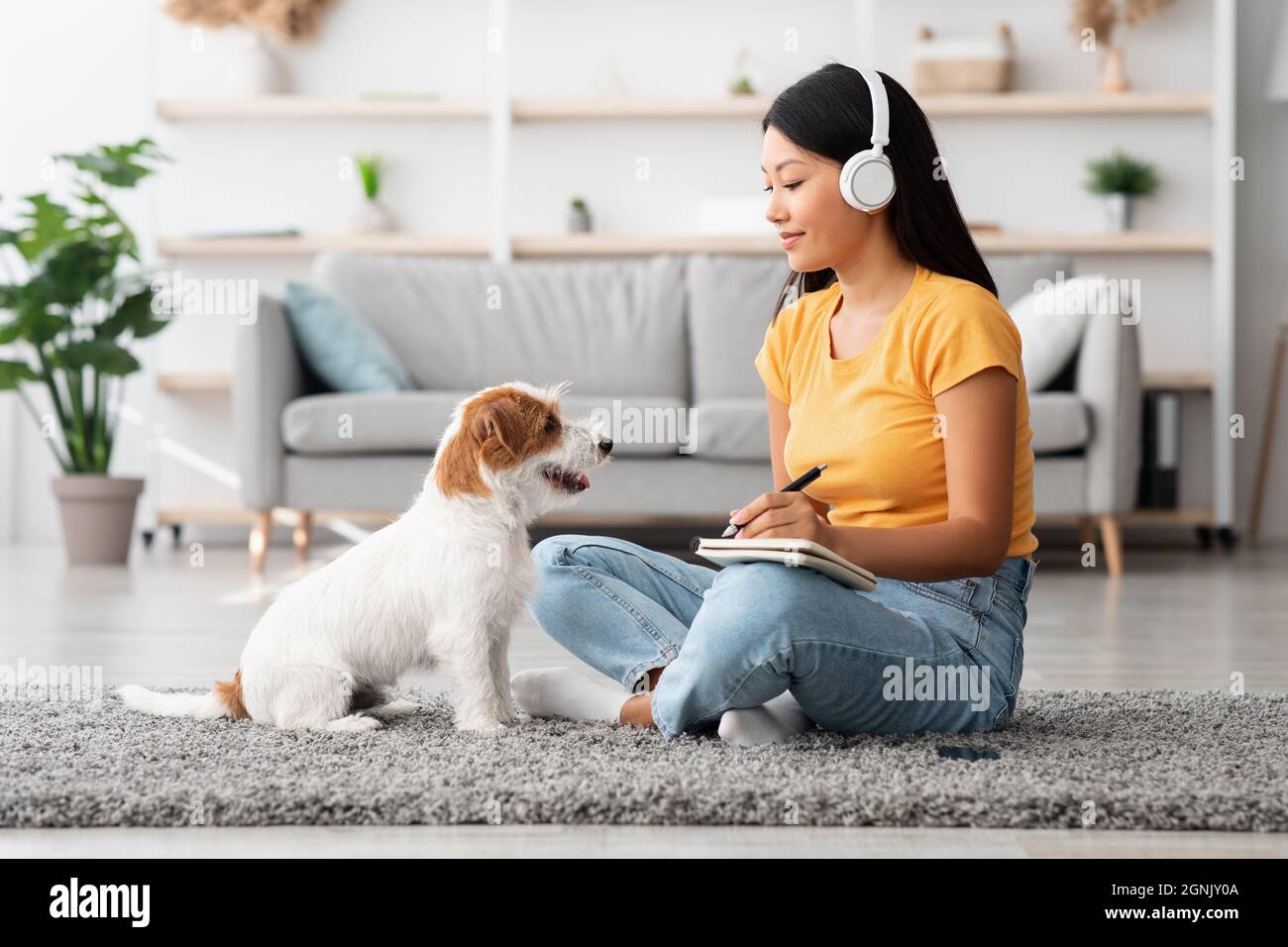 Happy dog sitting by its cheerful female owner Stock Photo - Alamy