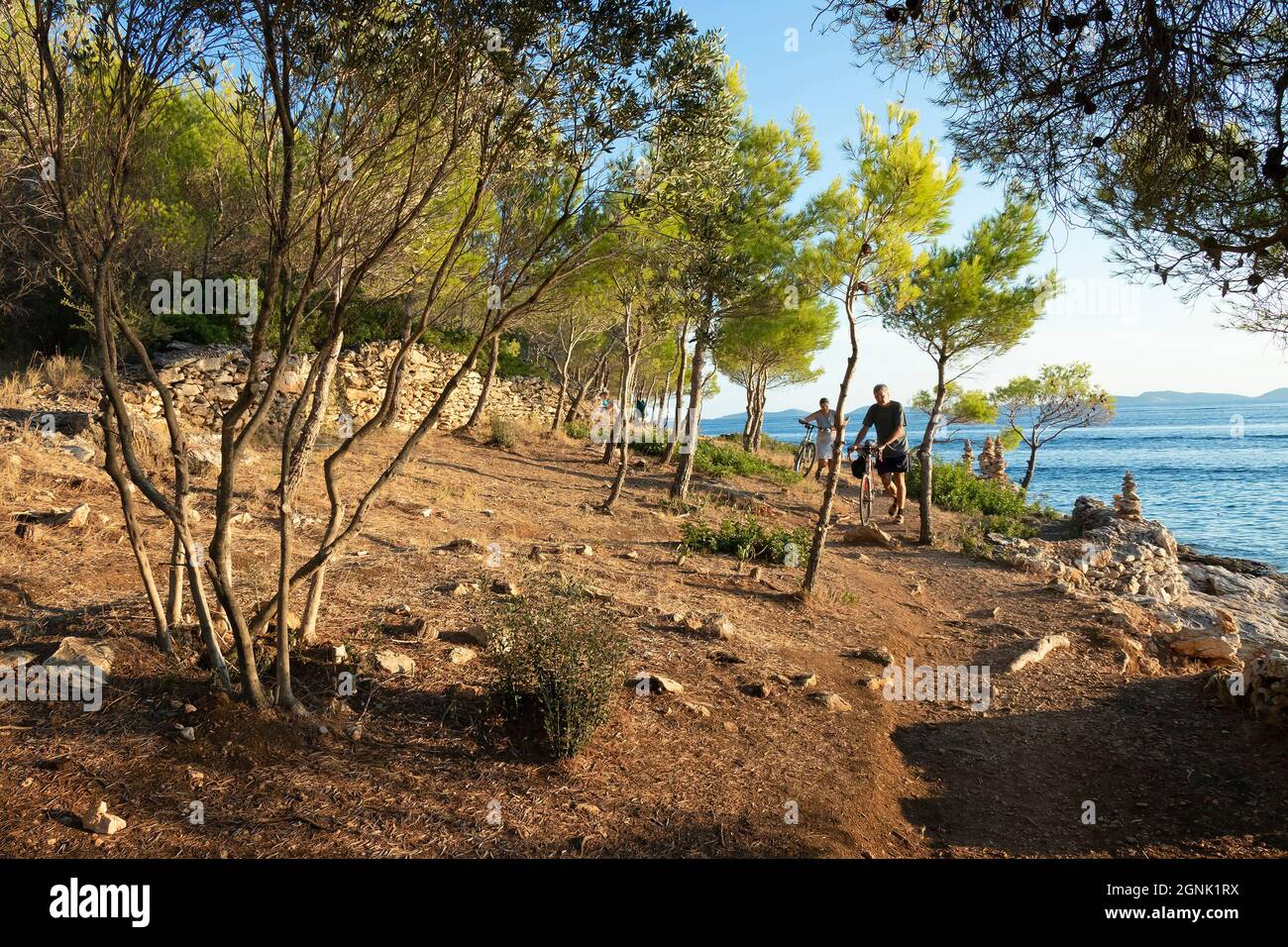 Podvrske, Murter, Croatia - August 26, 2021: Path between pine trees by the rocky beach, and people pushing bikes, in summer sunset Stock Photo