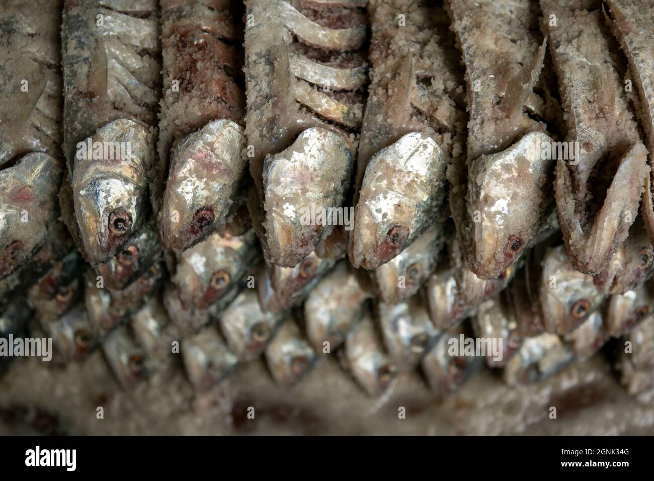 Sharan Fish Market Sea Eat Healthy Food Fishing Carp Catch Seafood Raw  Images – Browse 5 Stock Photos, Vectors, and Video