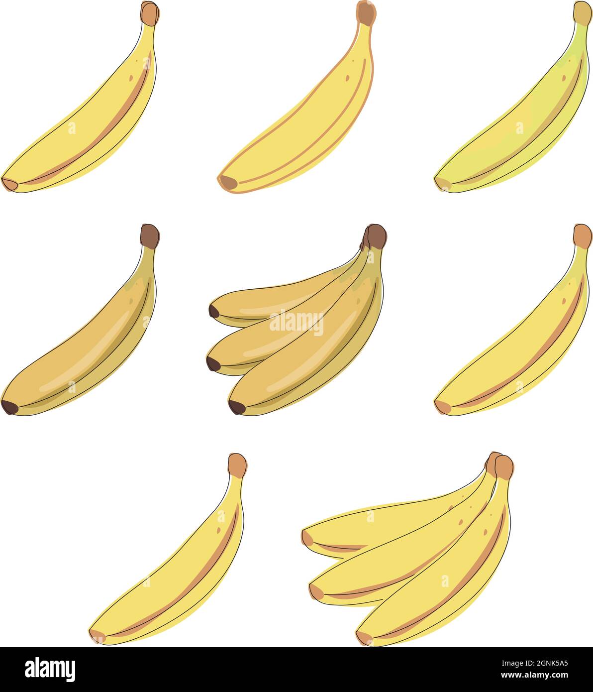 https://c8.alamy.com/comp/2GNK5A5/vector-banana-bunches-of-fresh-banana-fruits-isolated-on-white-background-collection-of-vector-illustrations-2GNK5A5.jpg
