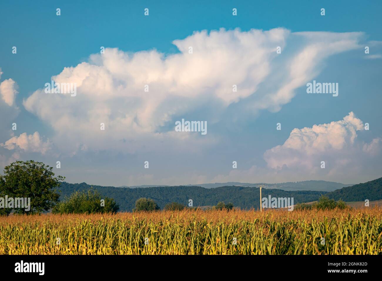 Thunderstorm with large anvil over the Carpathians near the Romanian-Ukrainian border Stock Photo