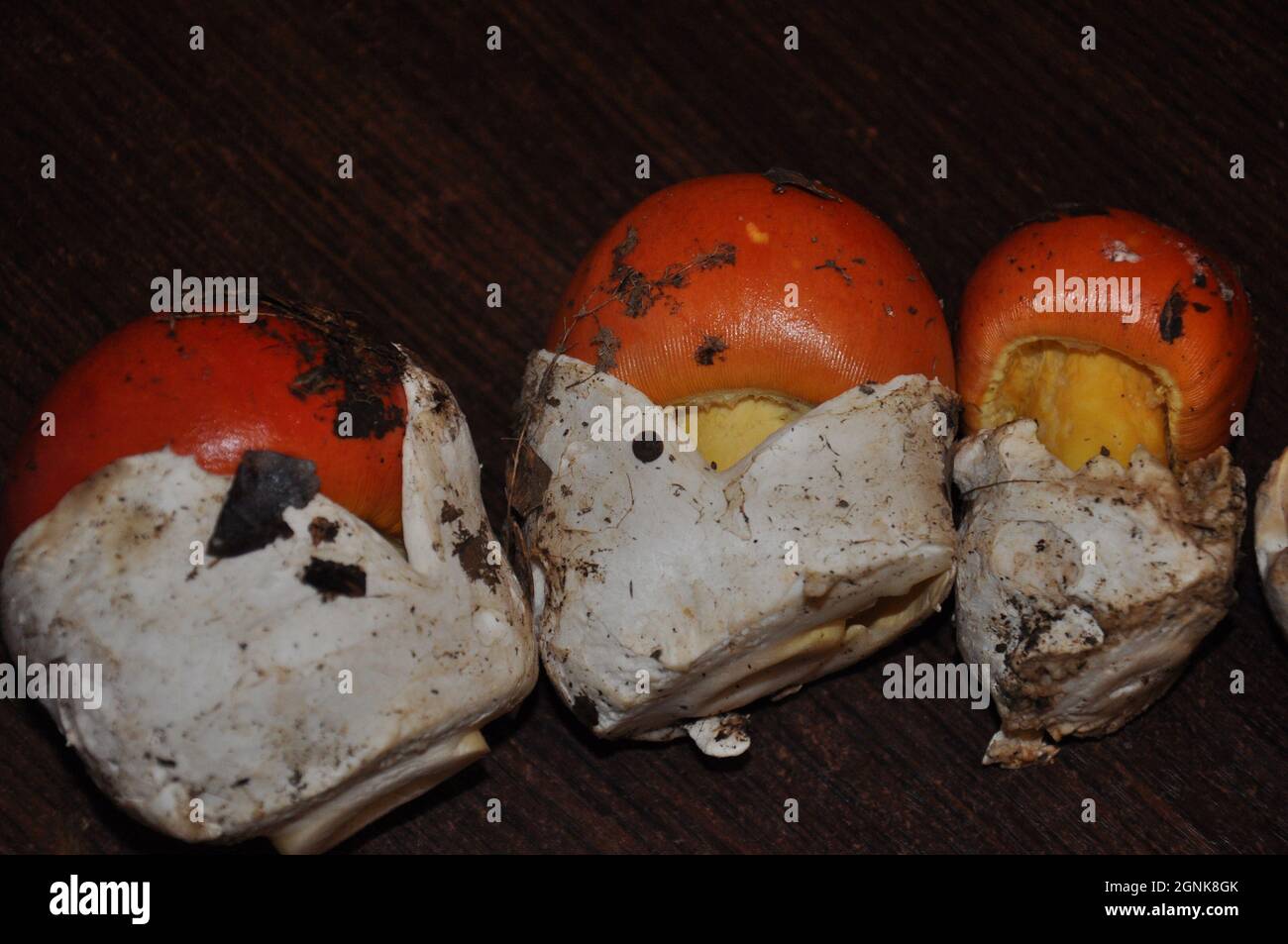 Amanita Caesarea mushroom, also known as Caesar mushroom. Forest mushrooms on a brown wooden table Stock Photo