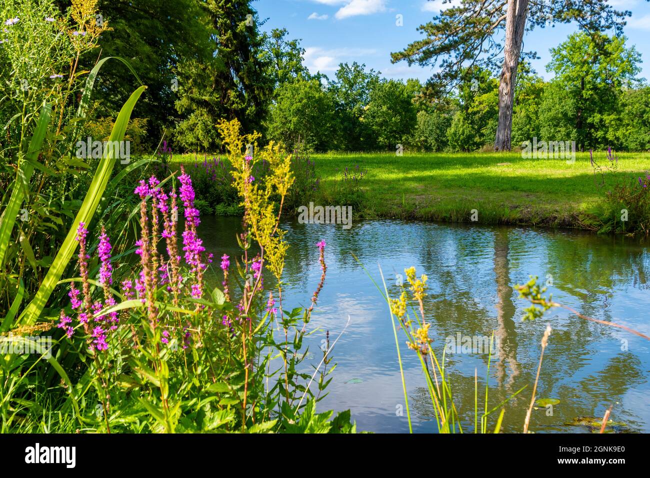 Amzing hi-res stock photography and images - Page 4 - Alamy