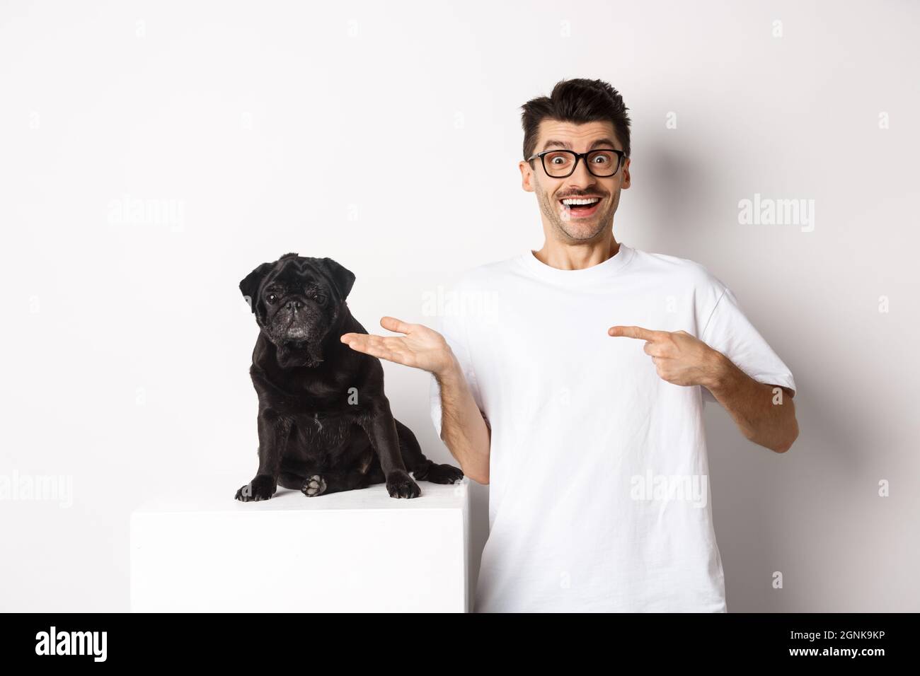 Cheerful young man pointing finger at his dog, showing small cute black pug  sitting, white background Stock Photo - Alamy