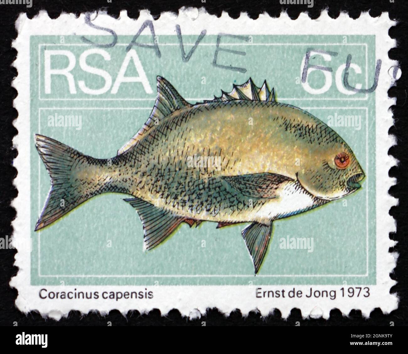 SOUTH AFRICA - CIRCA 1974: a stamp printed in South Africa shows Galjoen, Coracinus Capensis, Marine Fish, Galjoen is National Fish of South Africa, c Stock Photo