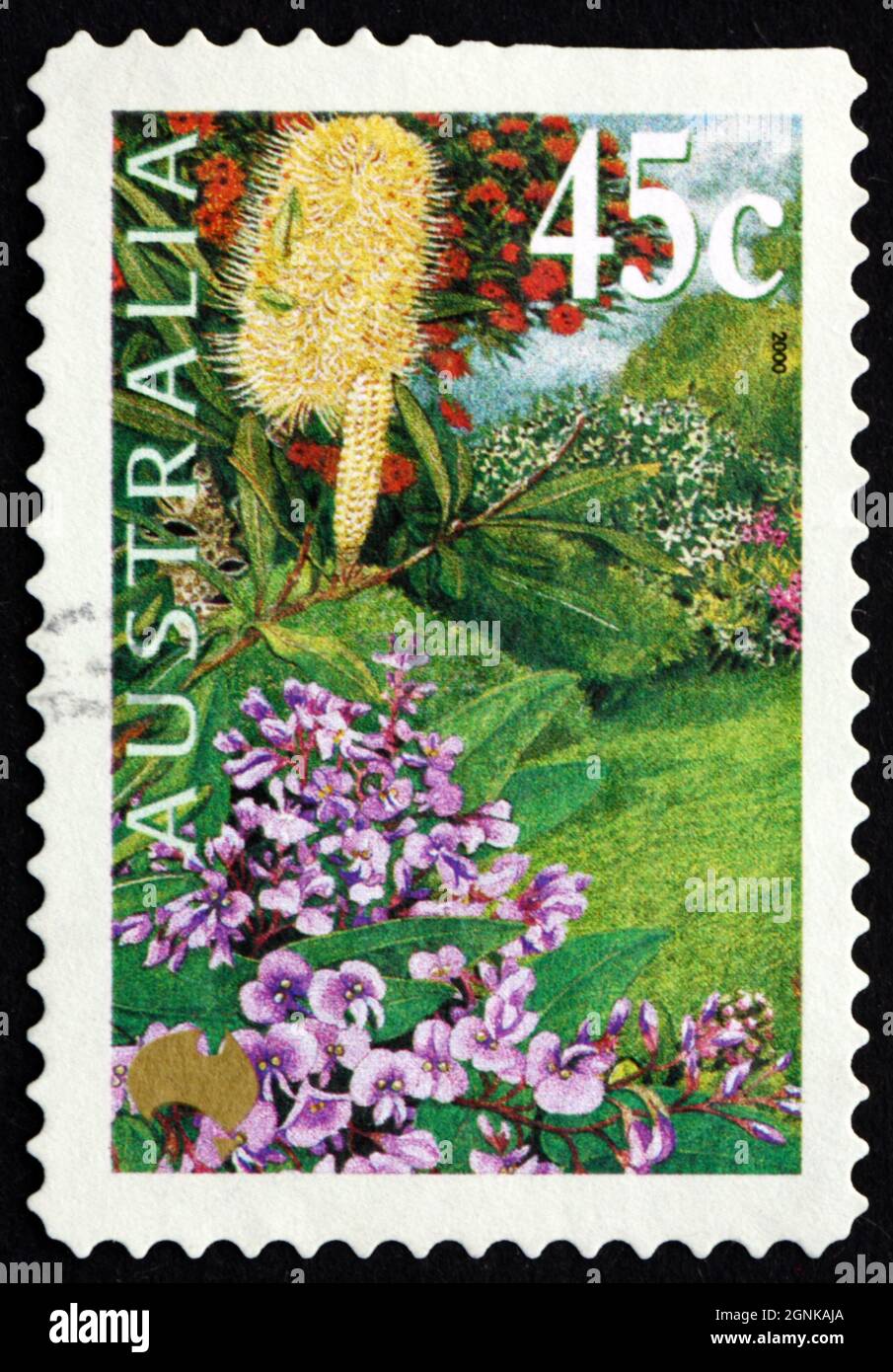 AUSTRALIA - CIRCA 2000: a stamp printed in the Australia shows Garden, Coast Banksia, False Sarsaperilla, Swamp Bloodwood, circa 2000 Stock Photo