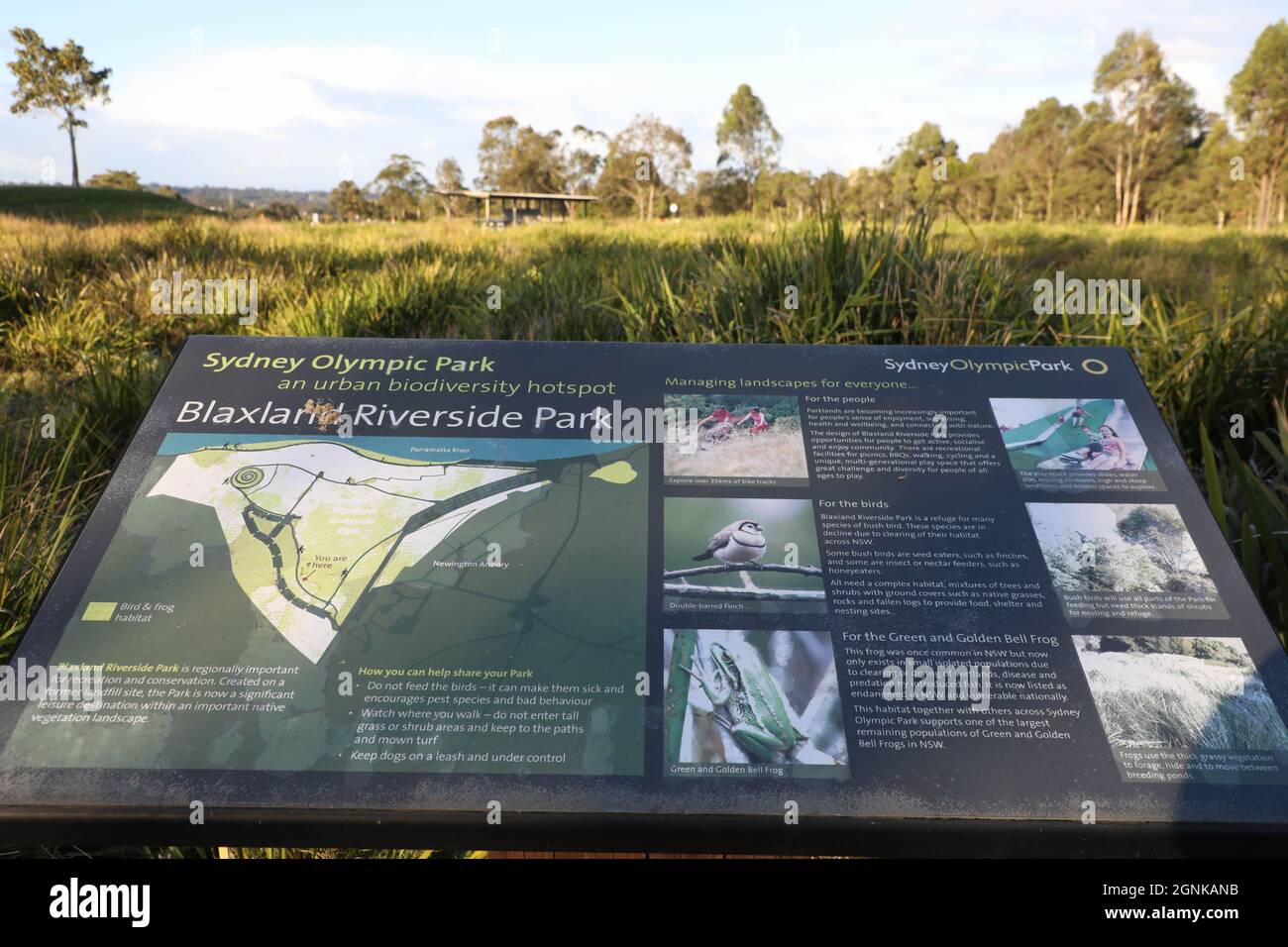 Blaxland Riverside Park, Jamieson St, Sydney Olympic Park NSW 2127 Stock Photo