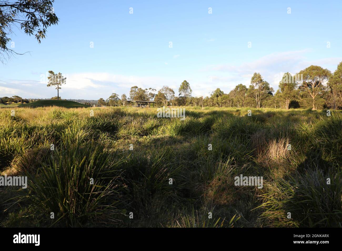 Blaxland Riverside Park, Jamieson St, Sydney Olympic Park NSW 2127 Stock Photo