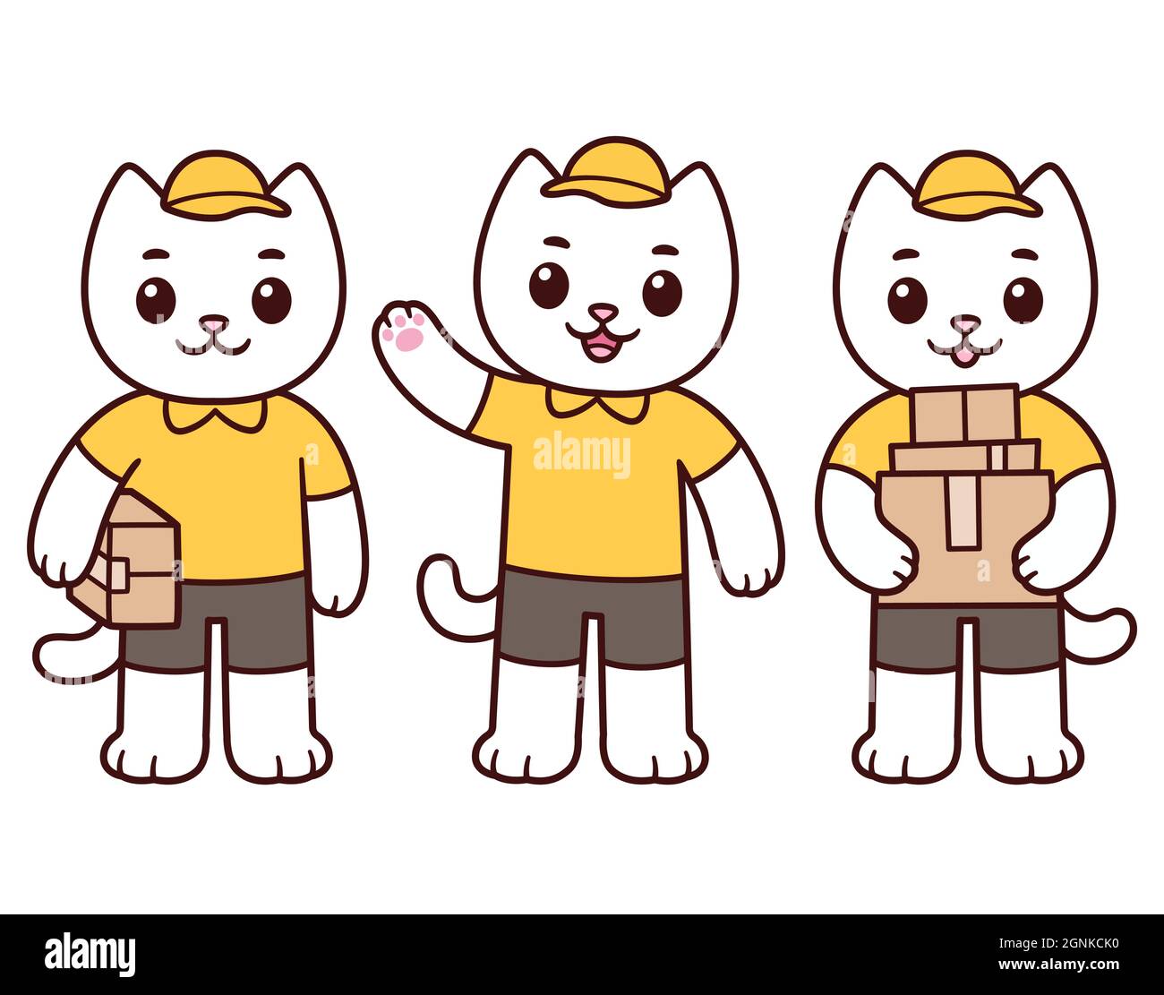 Cat couriers 2025