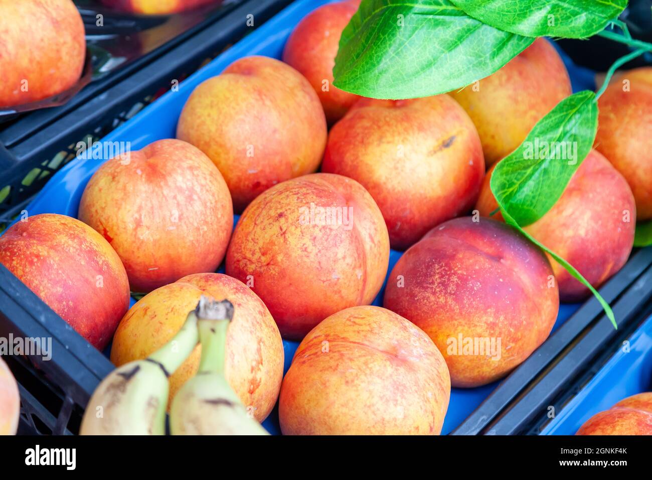 Different varieties of peaches on sale in a local bazaar kemer turkey. Fresh fruits for juice. Stock Photo