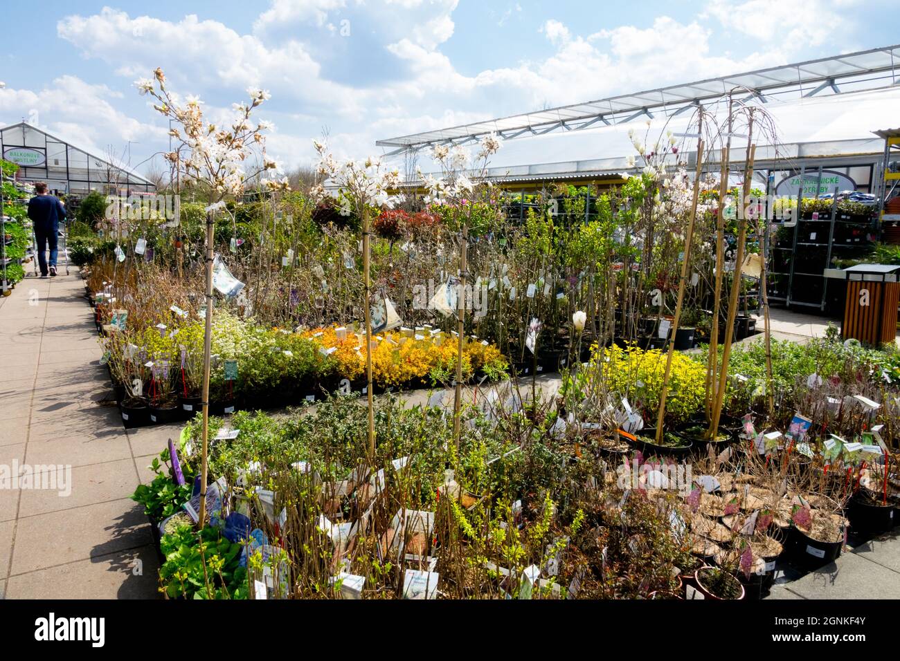 Garden centre plants Shopping centre Stock Photo Alamy