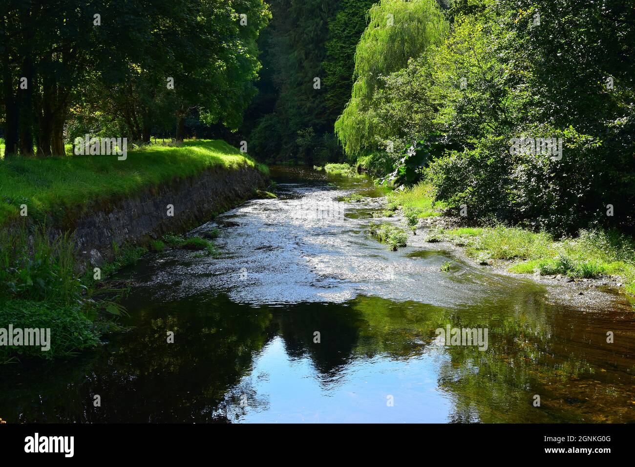 River Lynher, Bathpool Cornwall, England UK Stock Photo