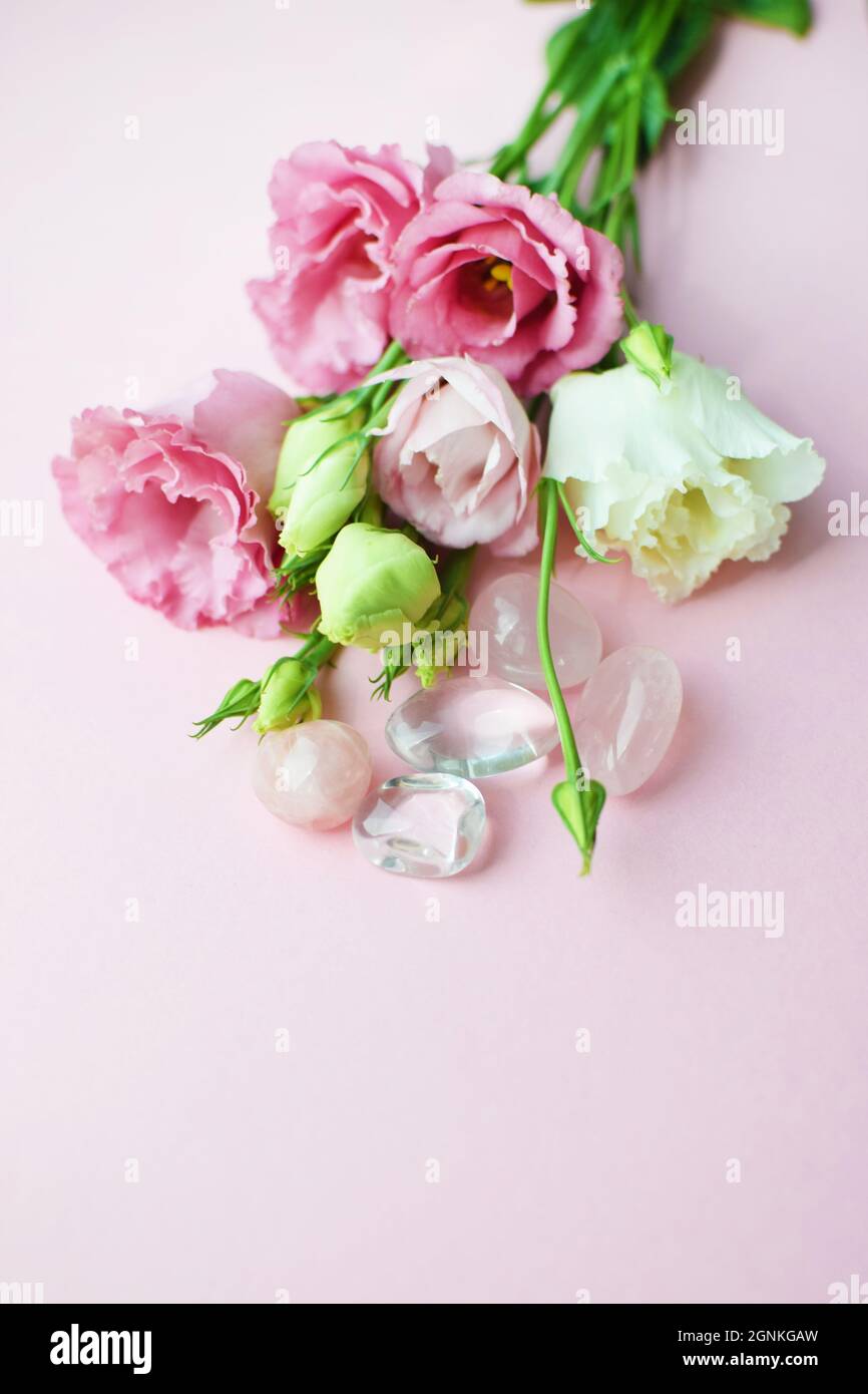 Beautiful pink eustoma (lisianthus) flowers in full bloom with rose quartz and rock crystal. Bouquet of flowers on a pink background Stock Photo