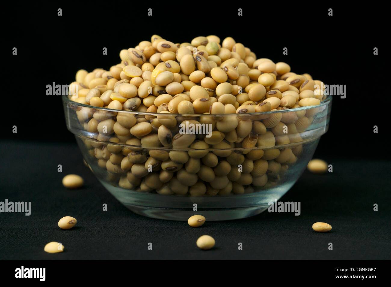 Soya bean, Glycine max, Satara, Maharashtra, India Stock Photo
