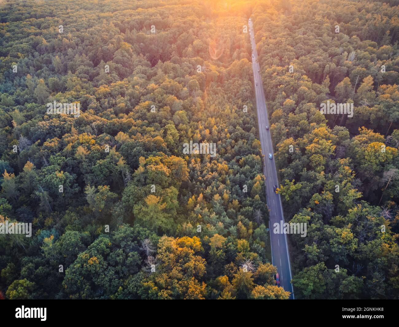 View from a height down on the autumn forest in a golden hour. Sunset, golden hour. There is a road in the woods and cars on it. Stock Photo