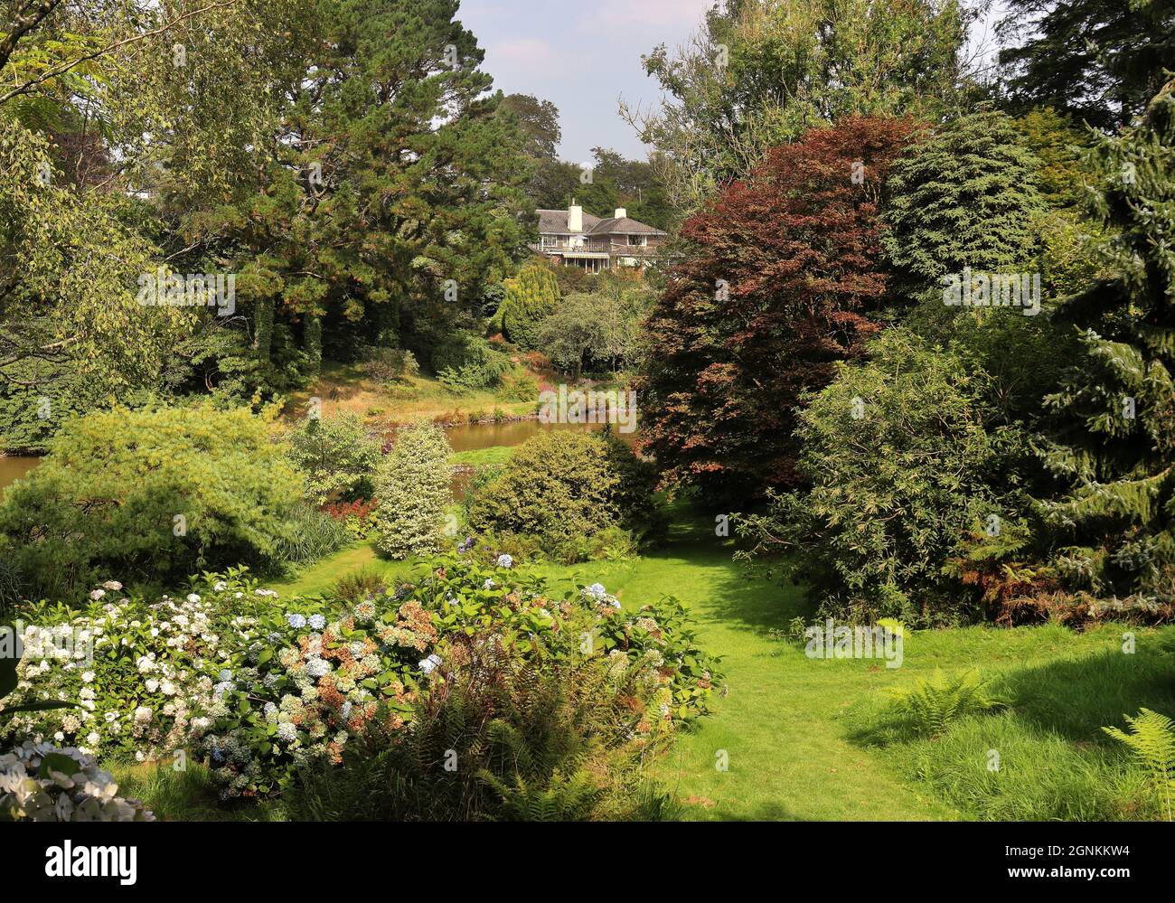 Marwood Hill gardens in North Devon in late Summer early Autumn Stock