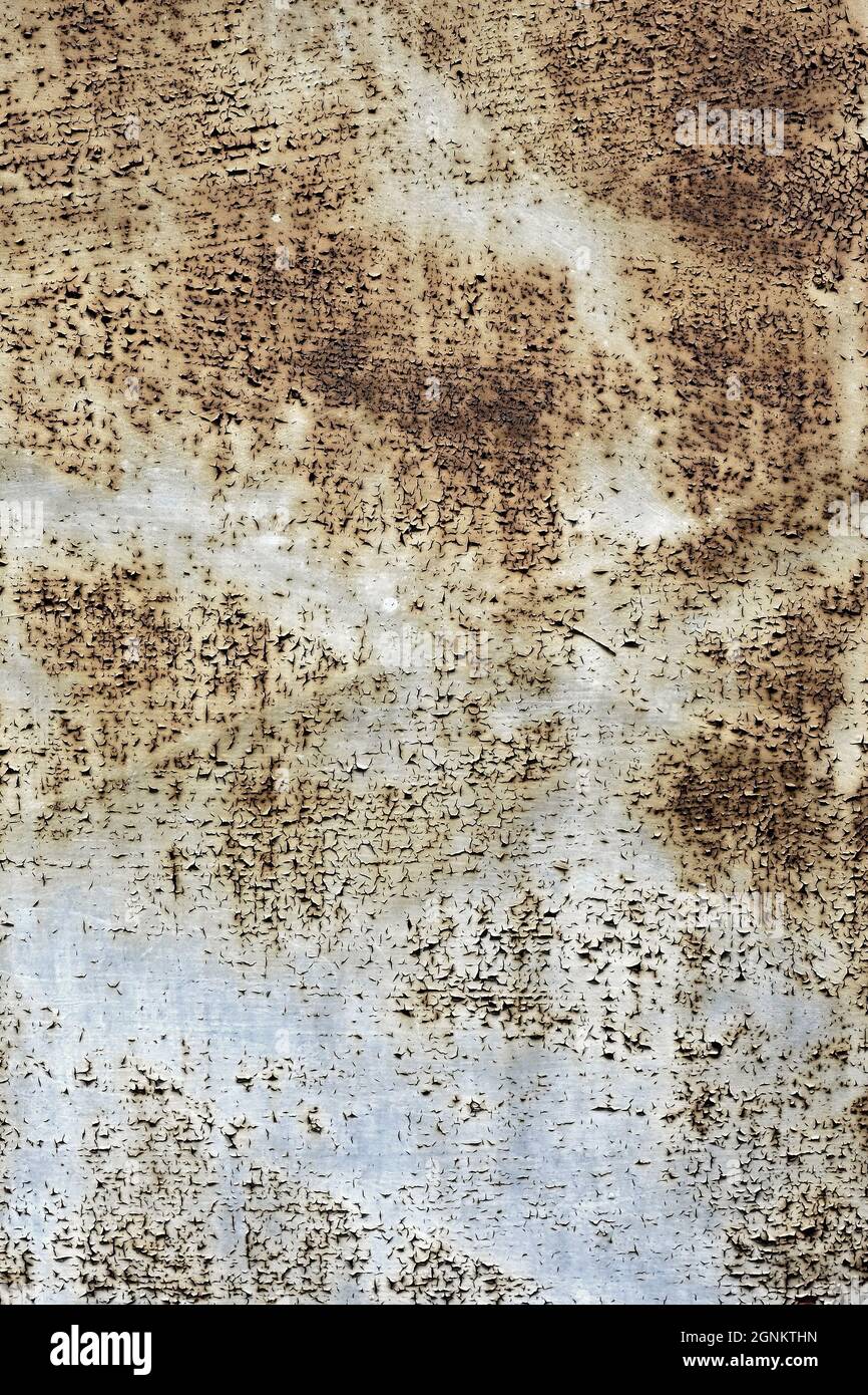 Attractive wallpaper hi-res stock photography and images - Alamy Attractive wallpaper hi-res stock photography and images - Alamy