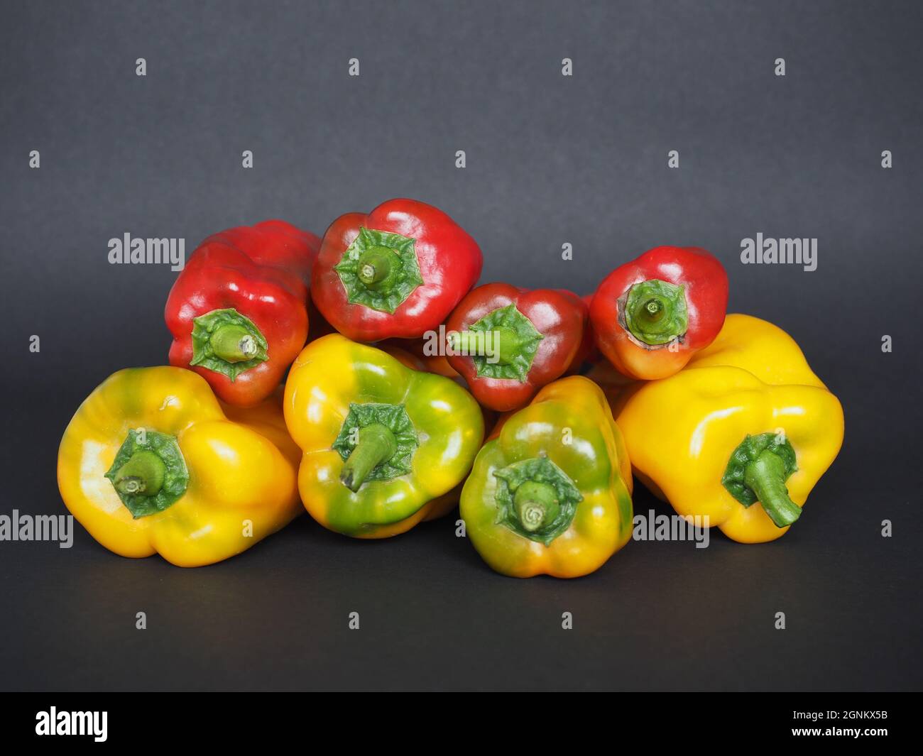 red and yellow peppers (scientific name Capsicum aka bell peppers