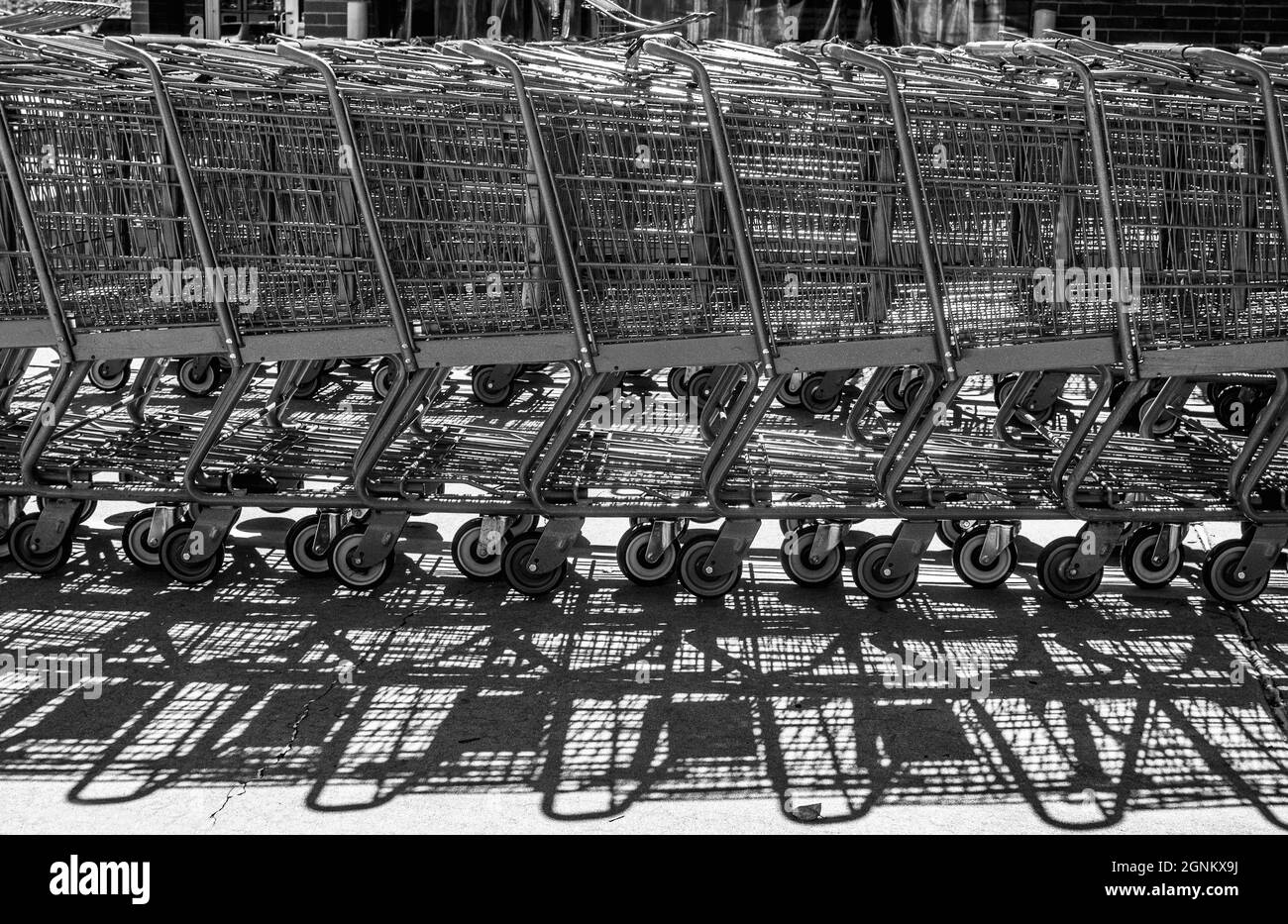 Shopping carts pushed together make an abstract design Stock Photo