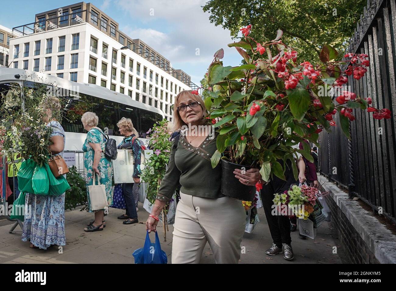 London, UK. 26th September 2021. Chelsea Flower Show plant sell-off. Plant bargains are swiftly carried away on the final day of RHS Chelsea Flower Show - which sees many exhibitors selling off their plants to the public at knock-down prices. Credit: Guy Corbishley/Alamy Live News Stock Photo