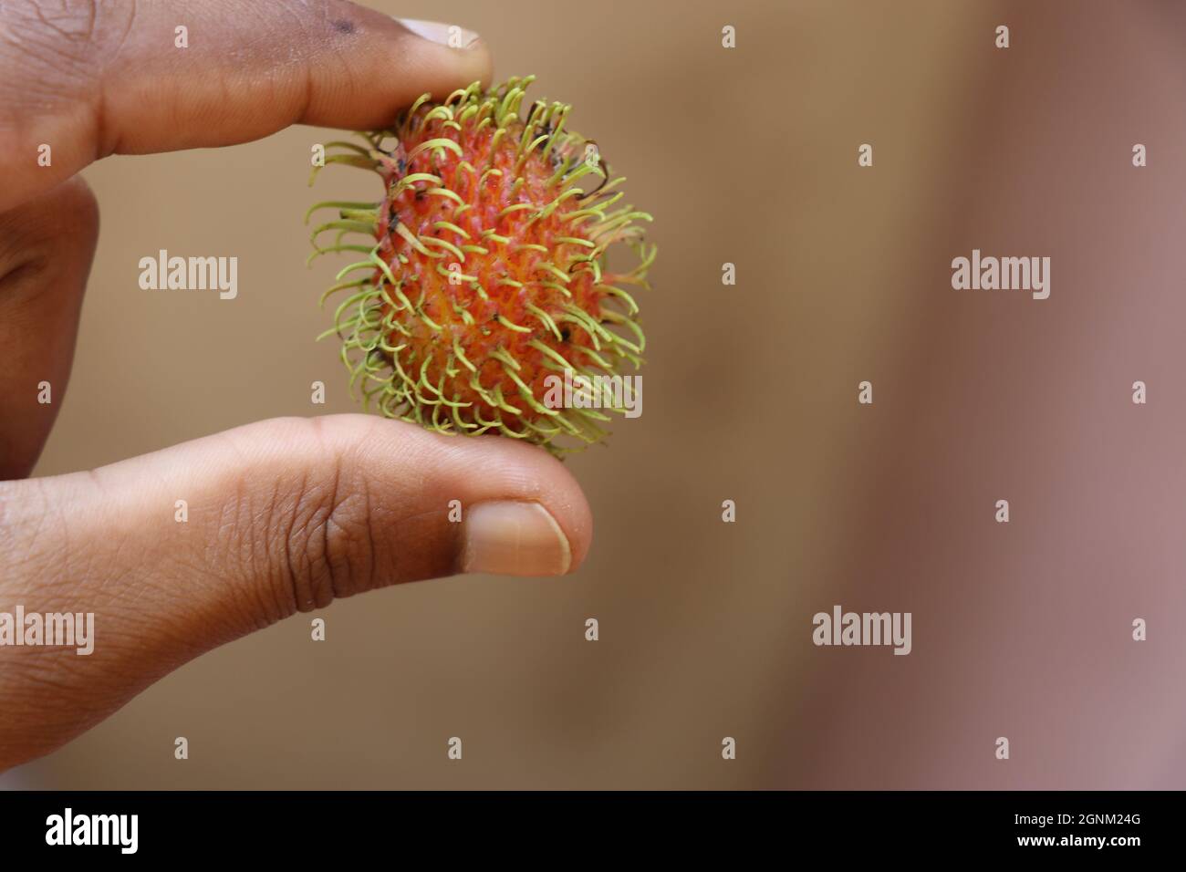 What Is Rambutan and How to Eat It