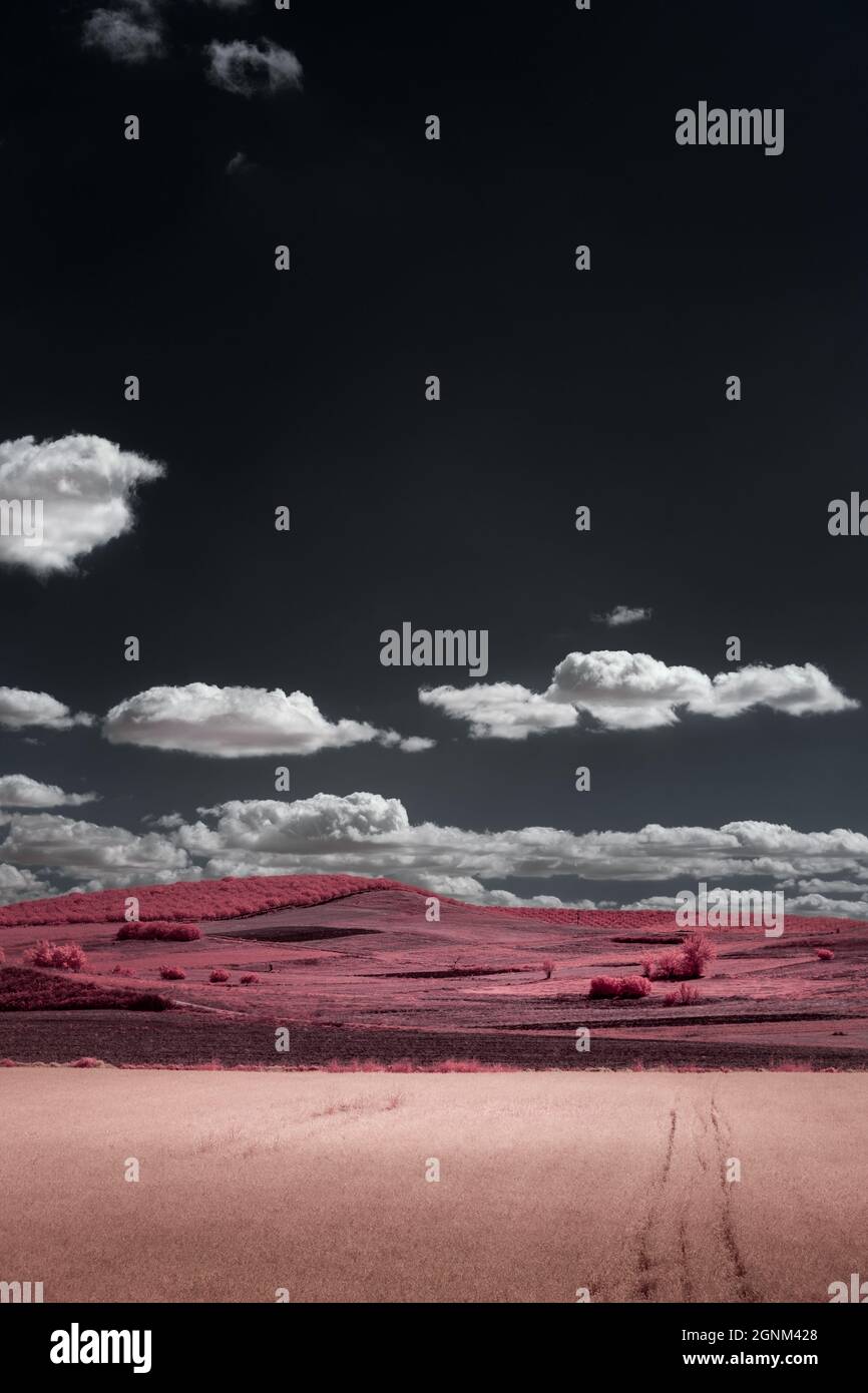 Multi colored infrared rural landscape Stock Photo - Alamy
