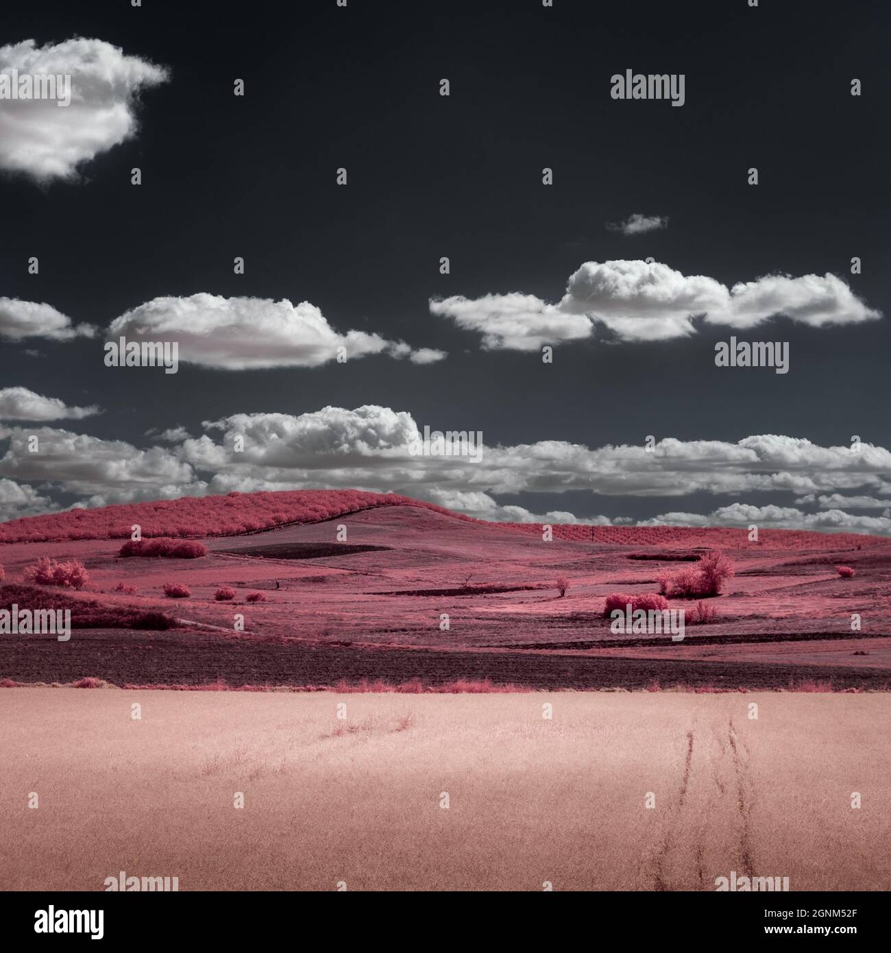 Multi colored infrared rural landscape Stock Photo - Alamy