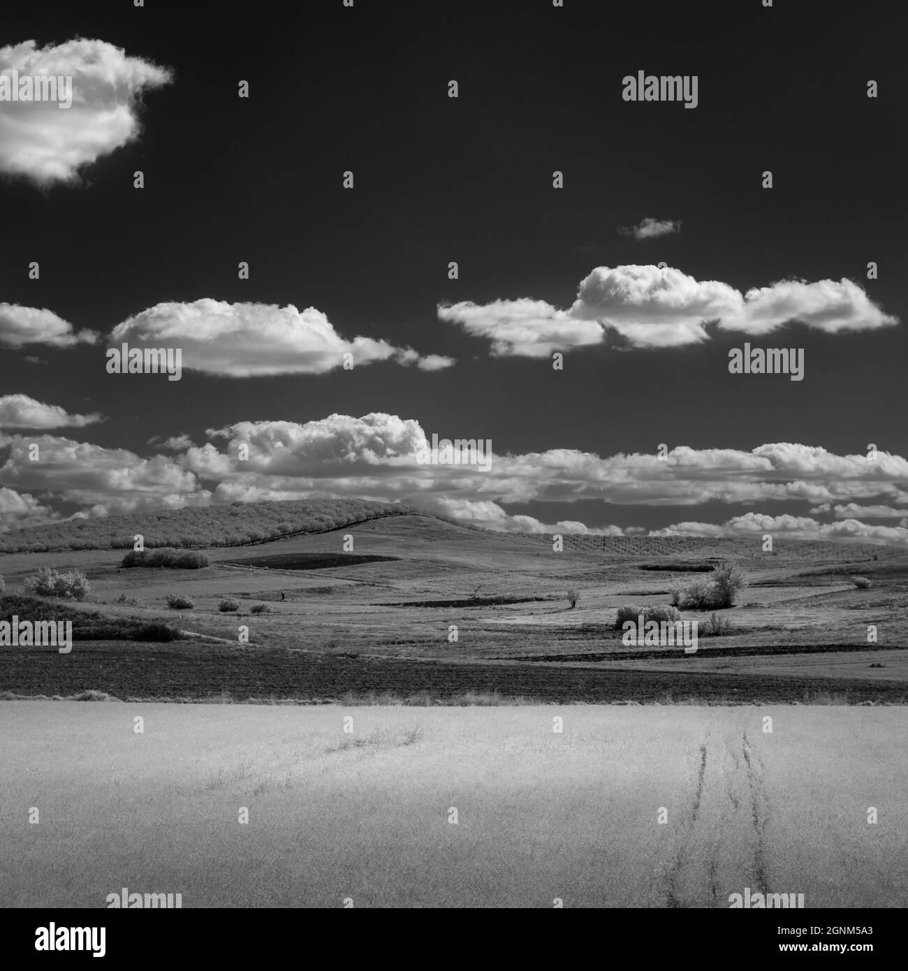 Rural Black and White Stock Photos & Images - Alamy