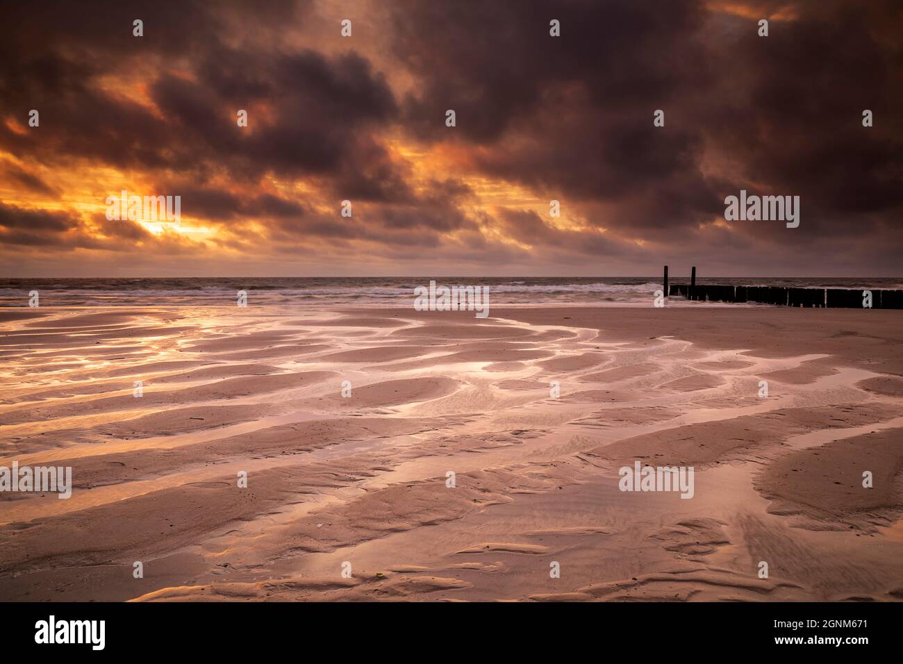 sunset over low tide beach at North sea, Holland Stock Photo