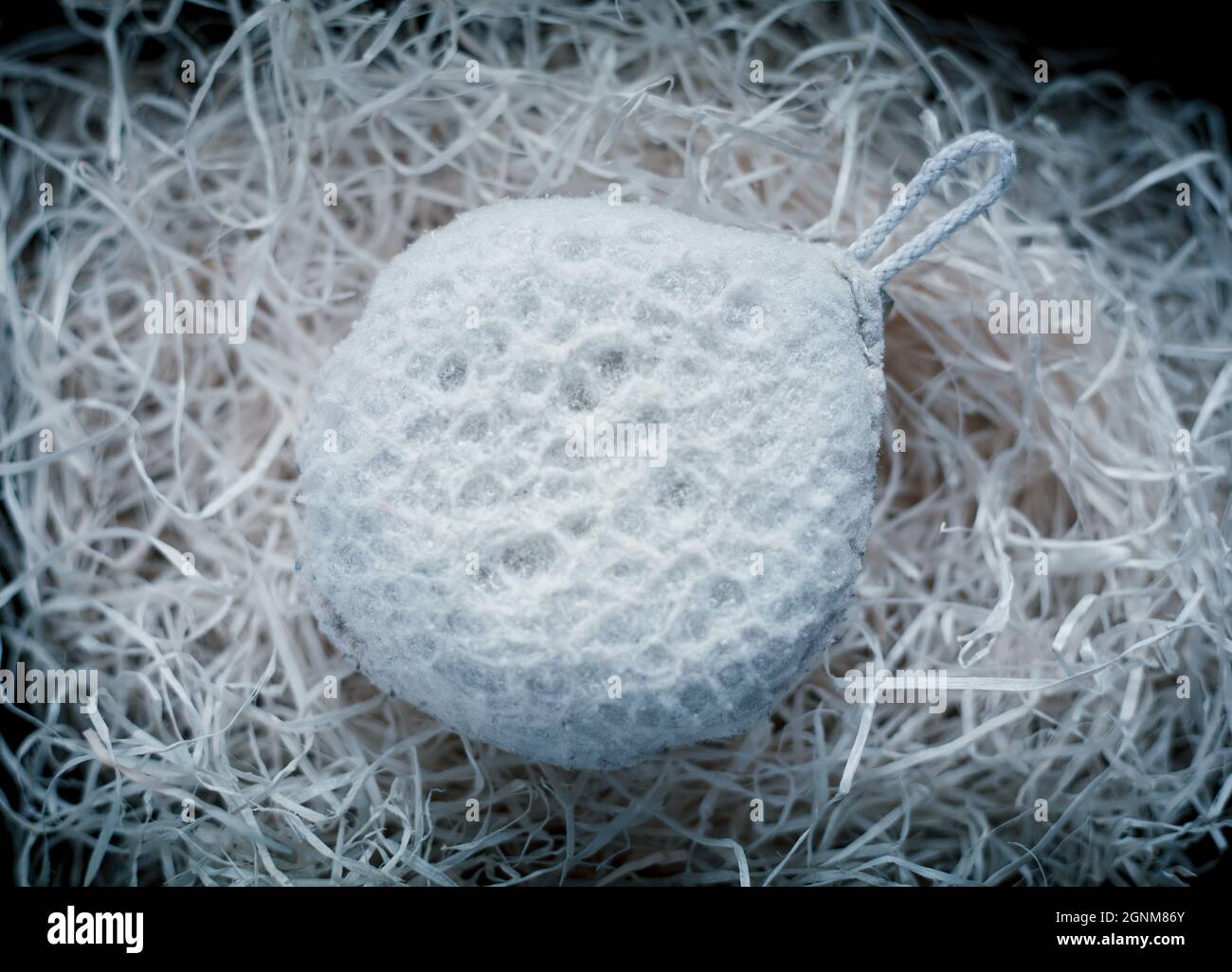 closeup photo of a white exfoliating bath sponge Stock Photo