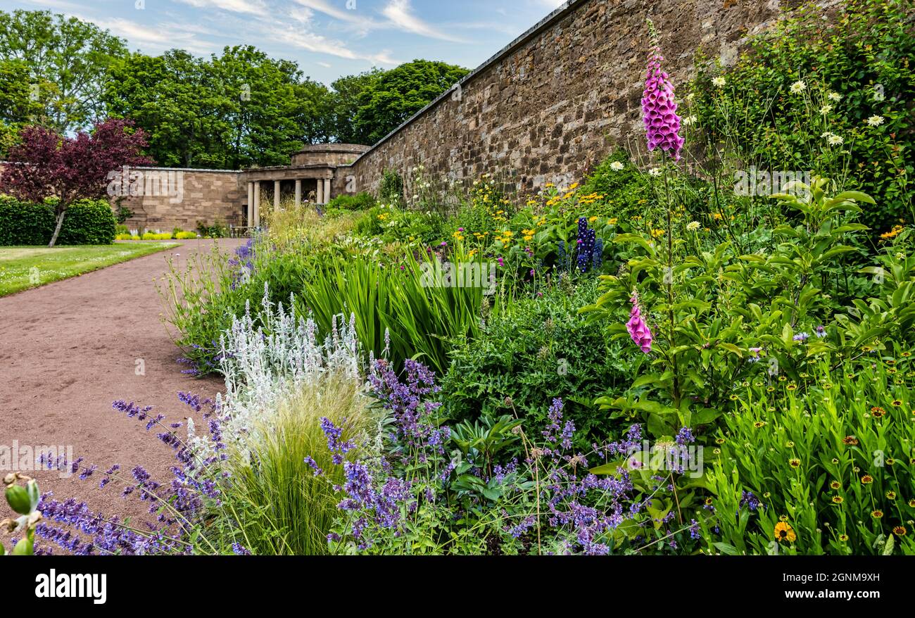 Colourful herbaceous flower border with foxgloves, Amisfield walled garden, East Lothian, Scotland, UK Stock Photo